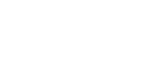 VivaClean